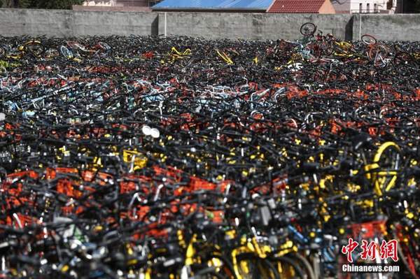 上海共享单车坟墓 单车随意摆放堆成山